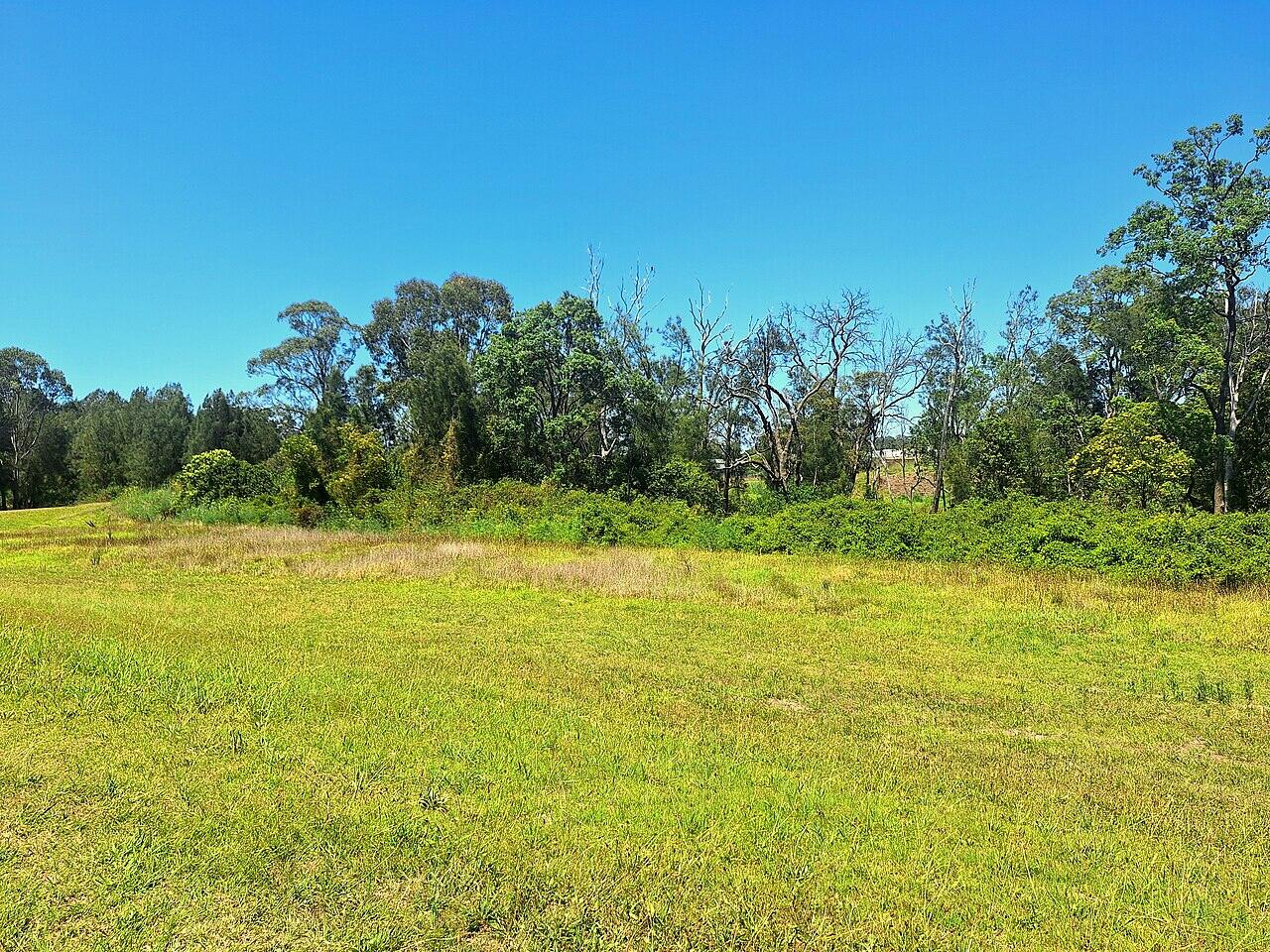 Open plot of land ready for development